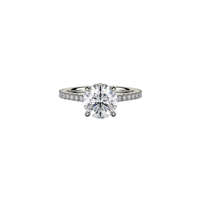 18K White Gold Diamond Band and Hidden Halo Engagement Mounting