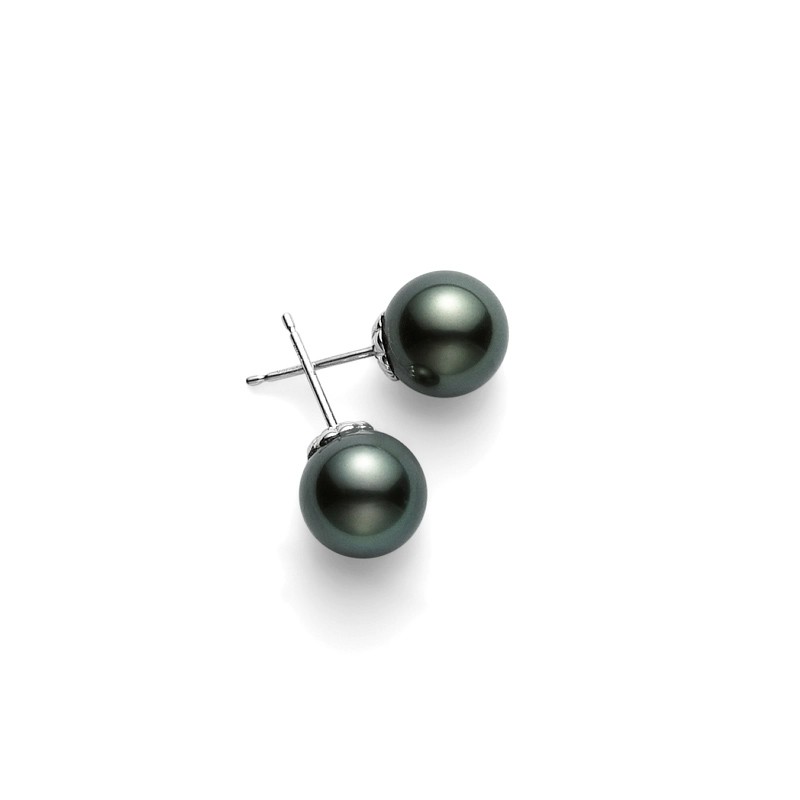 18K White Gold A+ Quality Black South Sea Stud Earrings