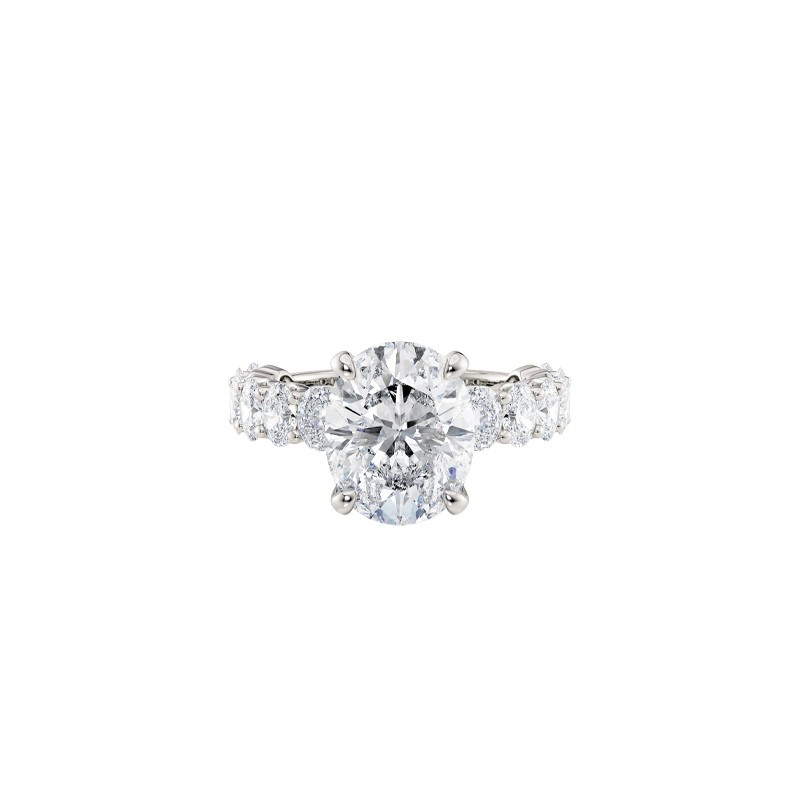 18K White Gold Oval Center Stone and Hidden Halo Engagement Mounting