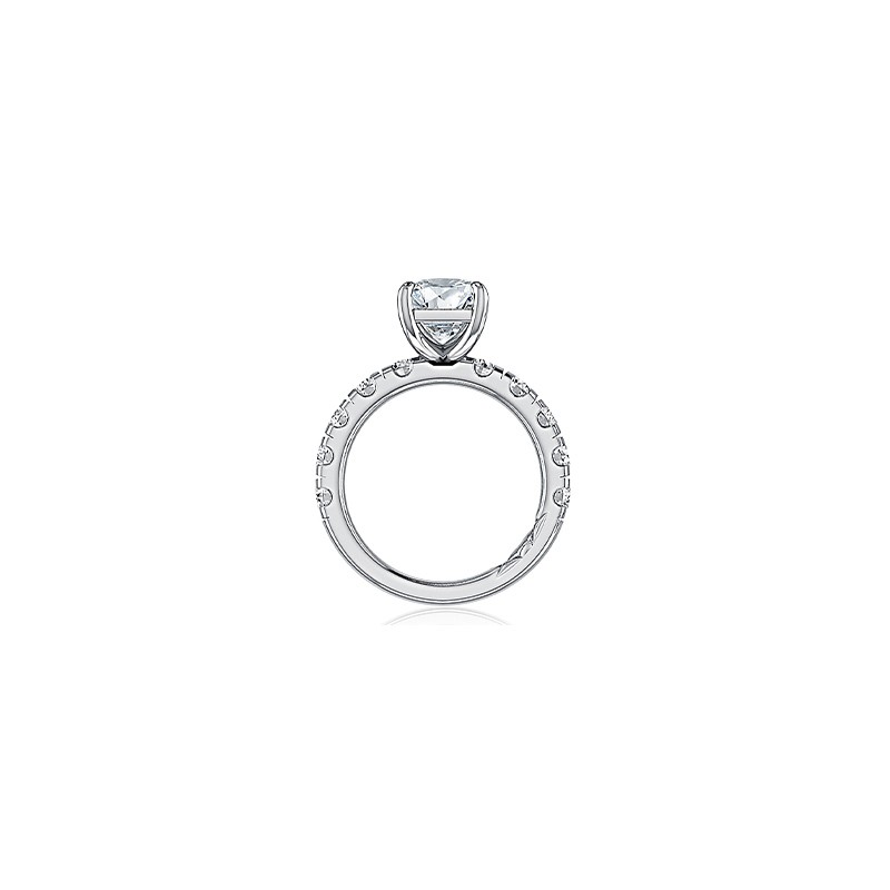 Emerald Cut Center Stone & Diamond Band Engagement Mounting