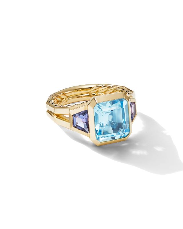 18k Yellow Gold Novella Blue and Tanzanite Ring