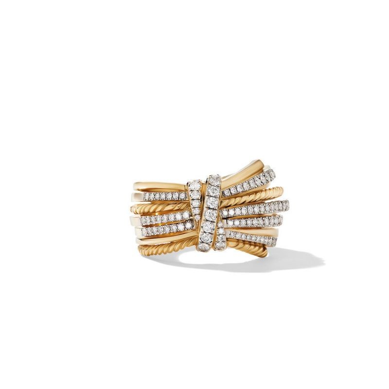 18k Yellow Gold Angelika 10 Row Ring