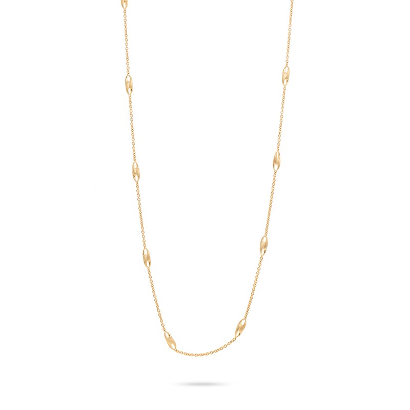 Lucia Long Link Necklace 