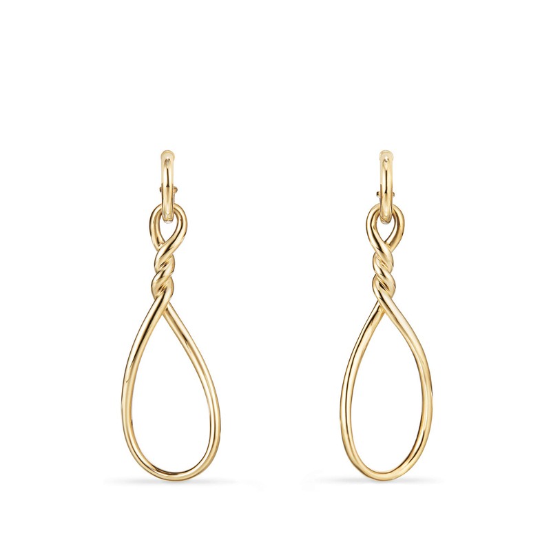 Continuance Large Drop Earrings in 18K Gold
