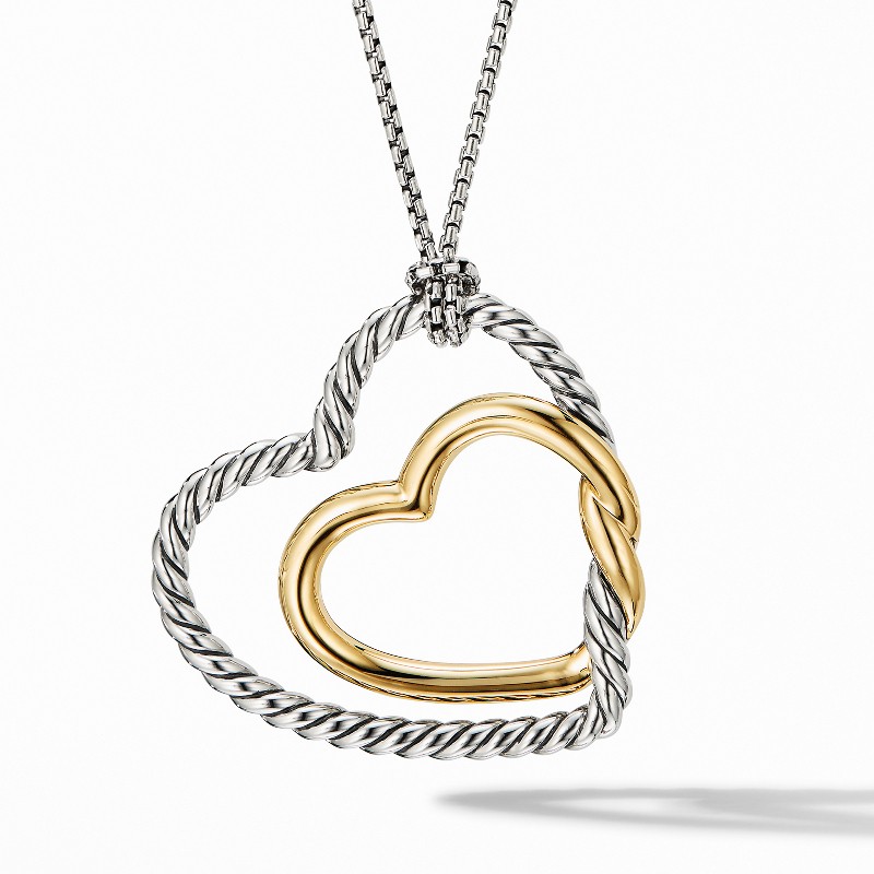 Continuance Heart Necklace