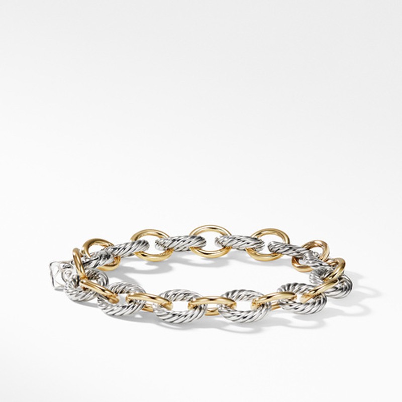 Medium Oval Link Bracelet with 18K Gold