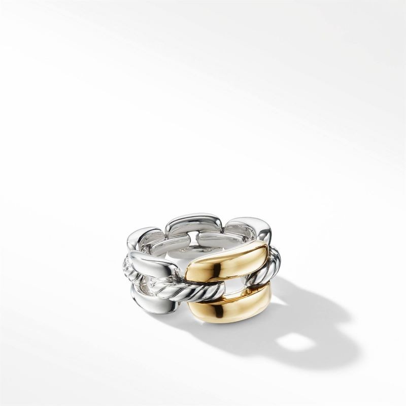 Silver and 18k Yellow Gold Wellesley Chain Link Ring
